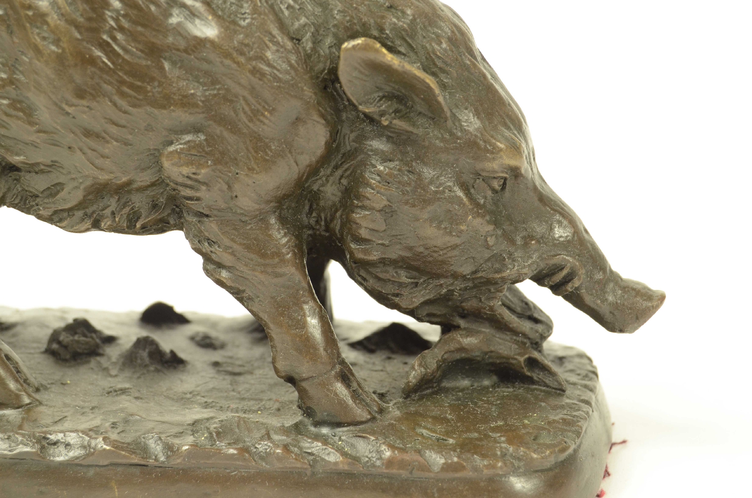 Peculiarity/11asc-Bronze Boar