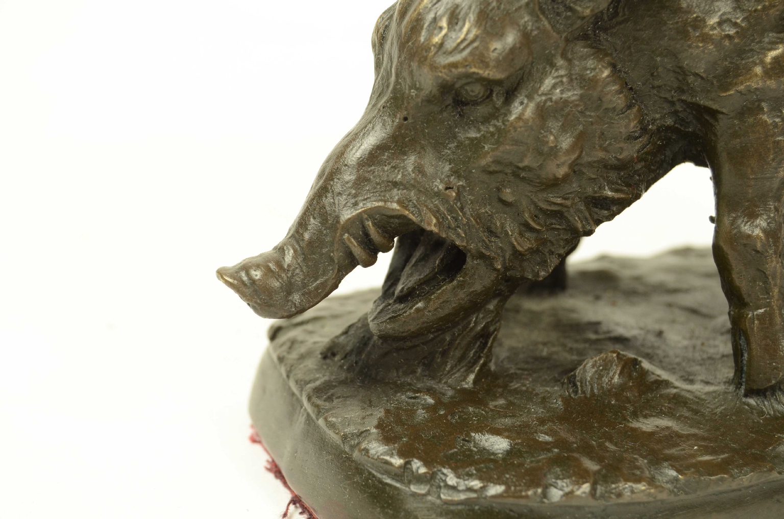 Peculiarity/11asc-Bronze Boar