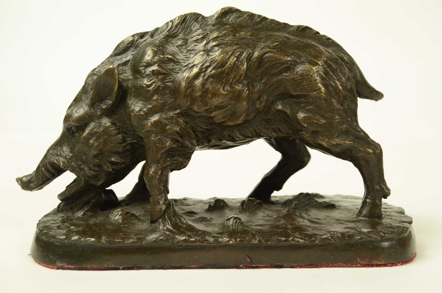 Peculiarity/11asc-Bronze Boar