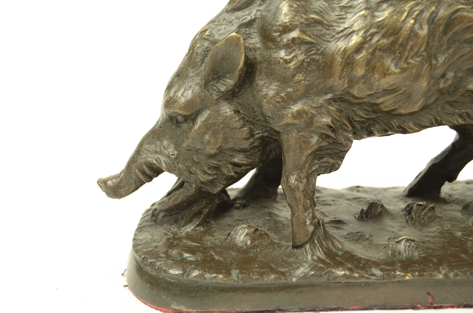 Peculiarity/11asc-Bronze Boar