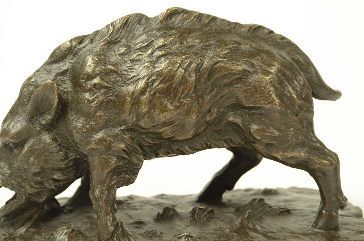 Peculiarity/11asc-Bronze Boar