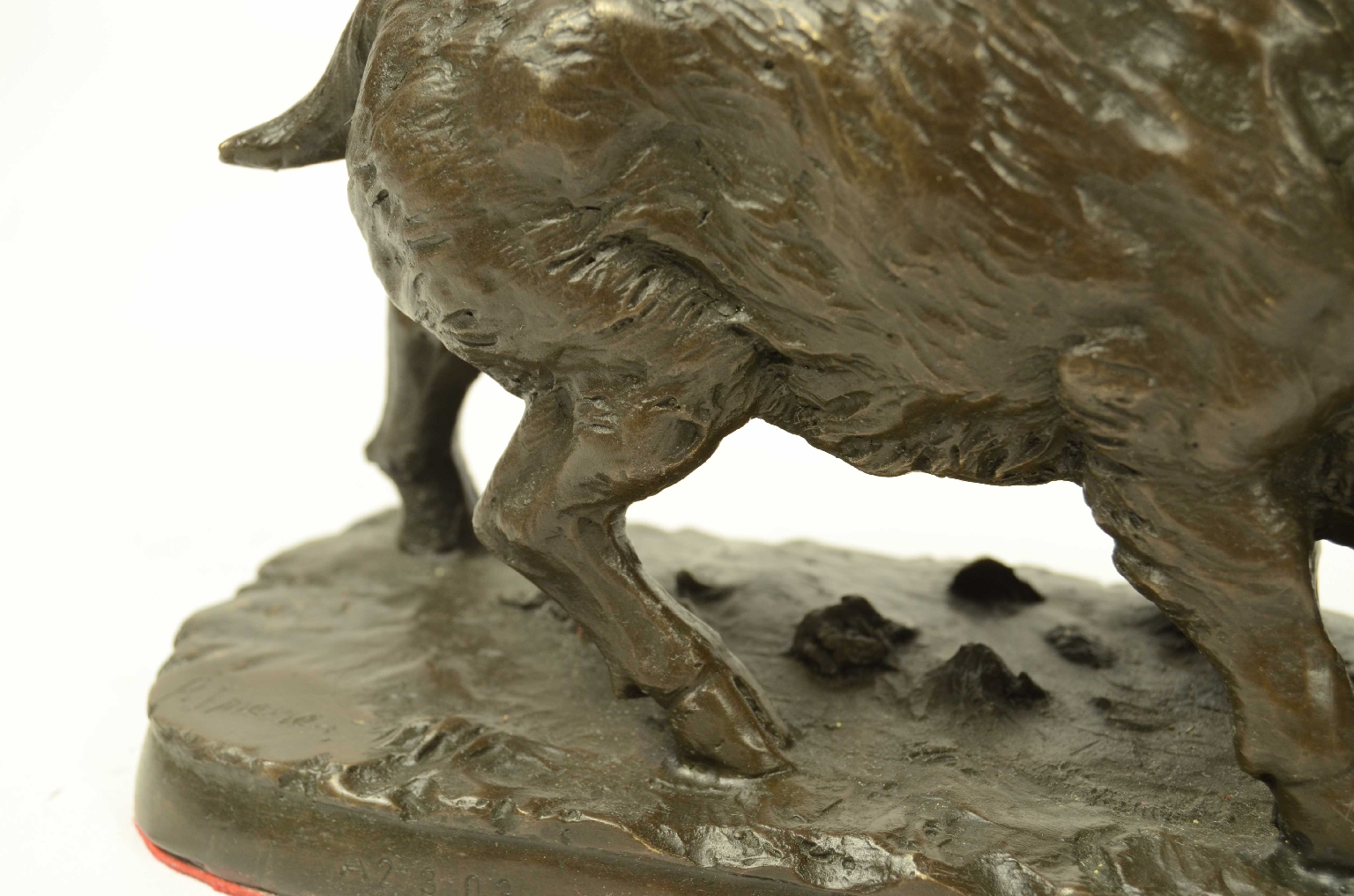 Peculiarity/11asc-Bronze Boar