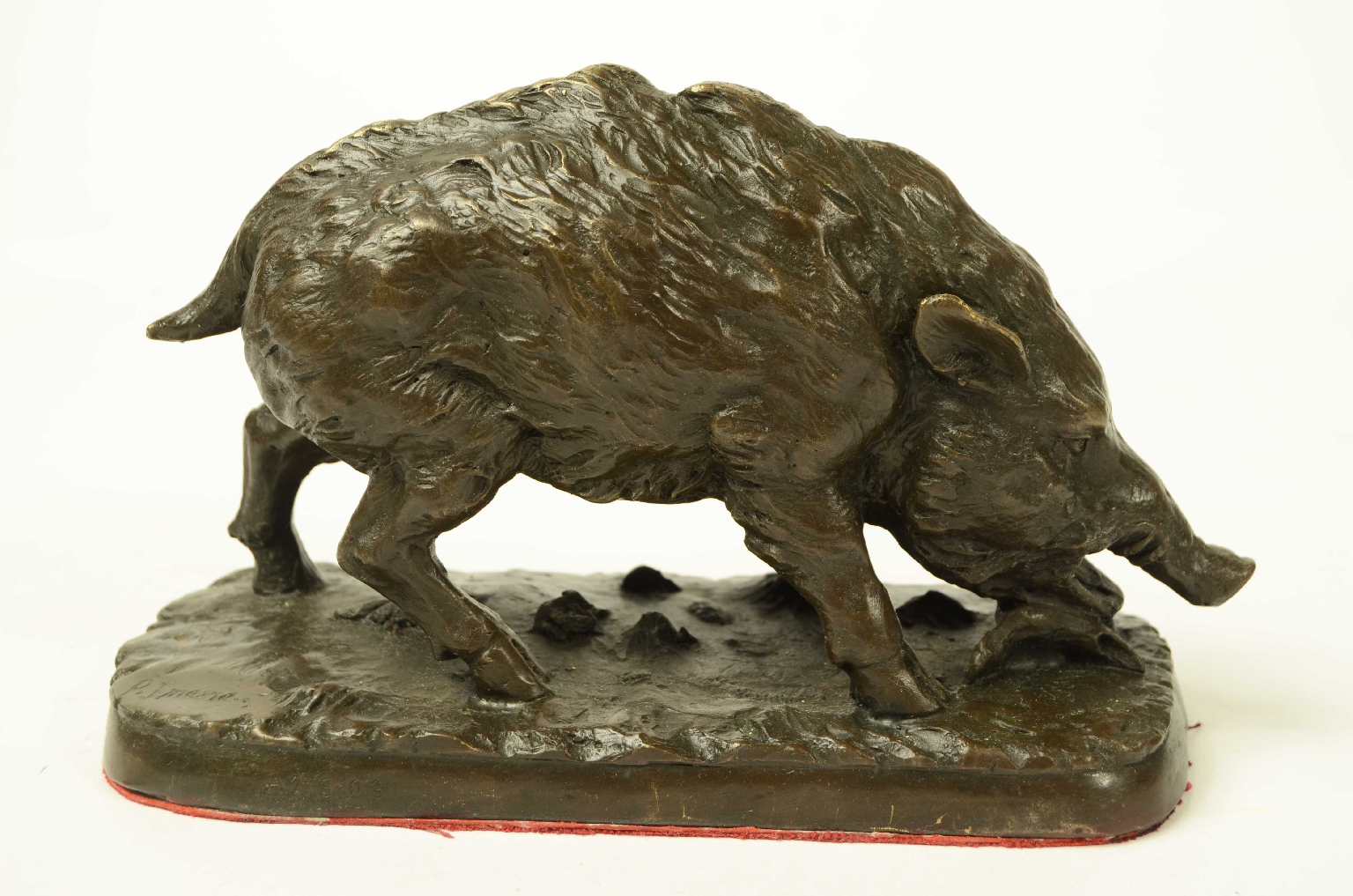 Peculiarity/11asc-Bronze Boar