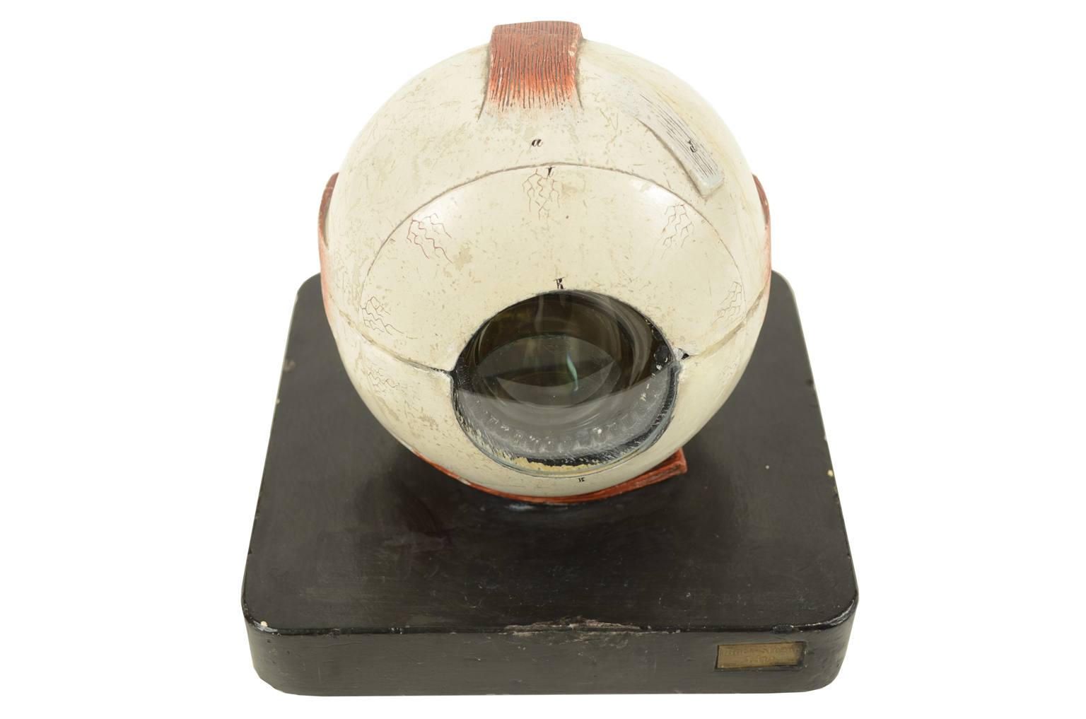 Old medical instruments/2454-Antique anatomic model