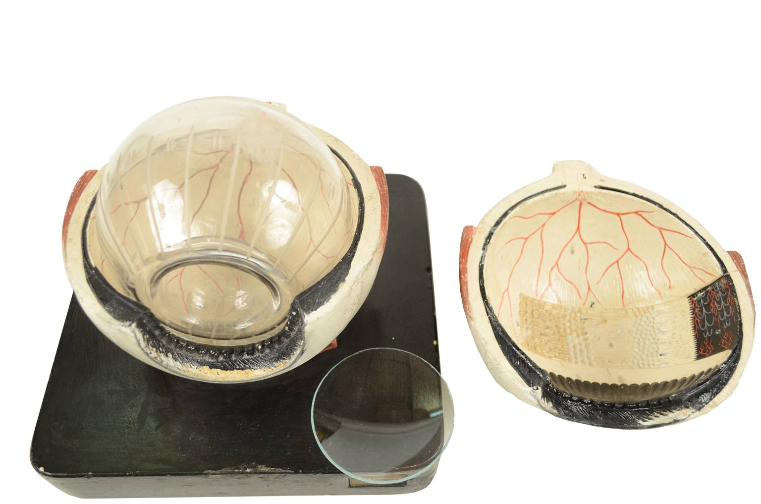 Old medical instruments/2454-Antique anatomic model