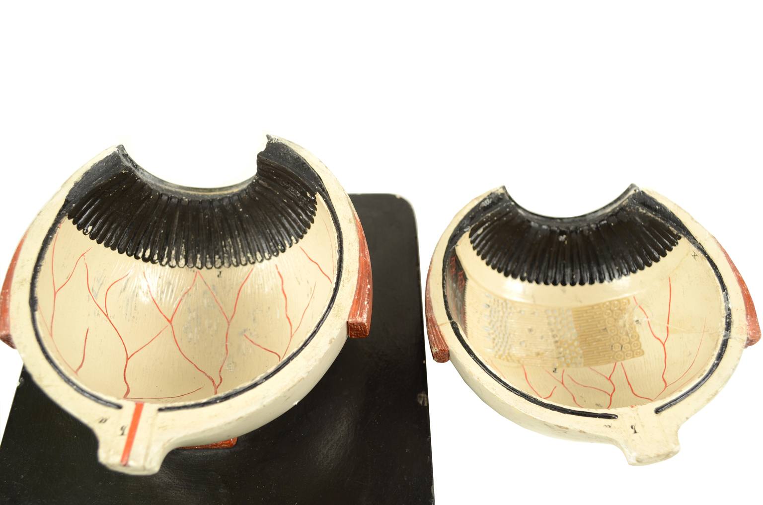 Old medical instruments/2454-Antique anatomic model