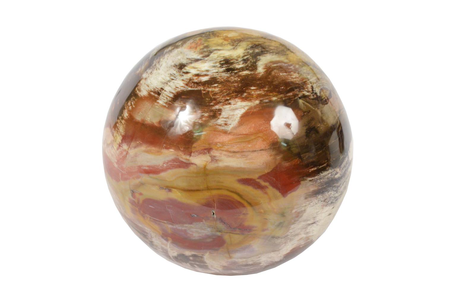 Natural history/264A-Fossil wood sphere