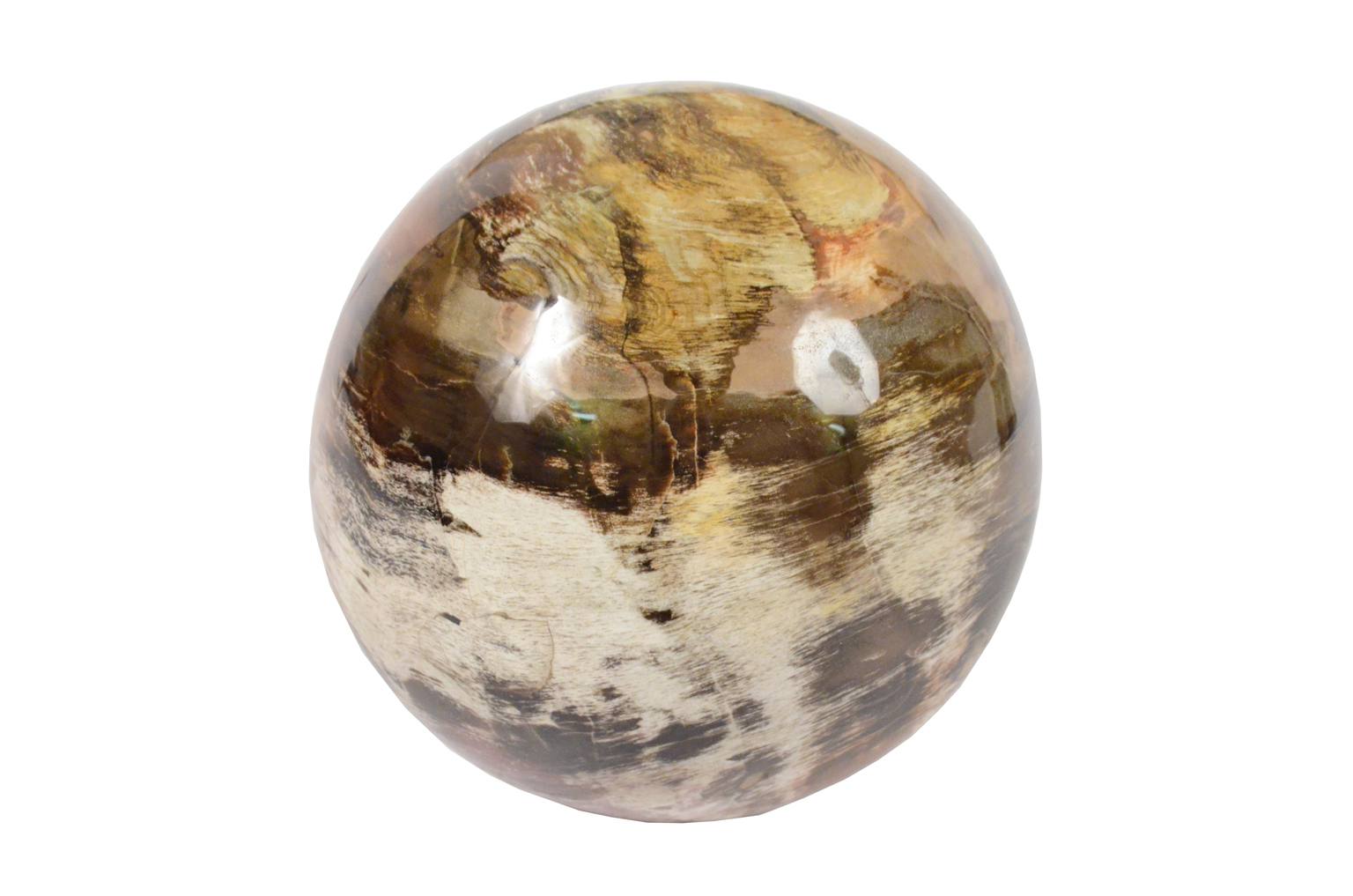 Natural history/264A-Fossil wood sphere