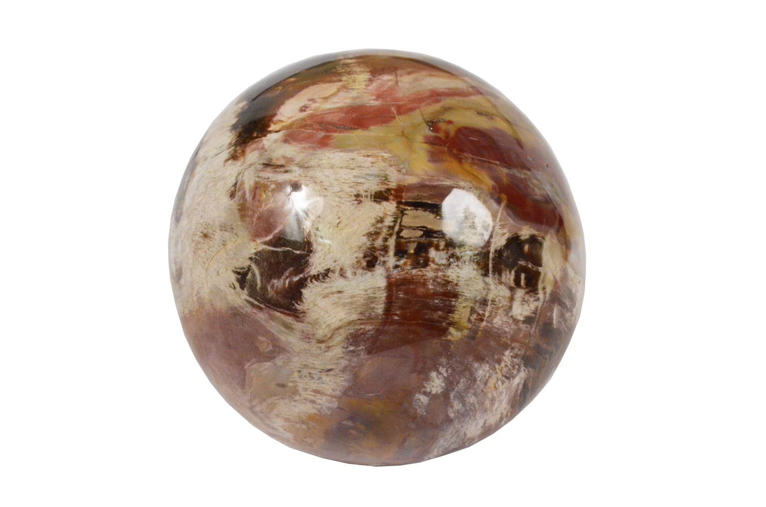 Natural history/264A-Fossil wood sphere