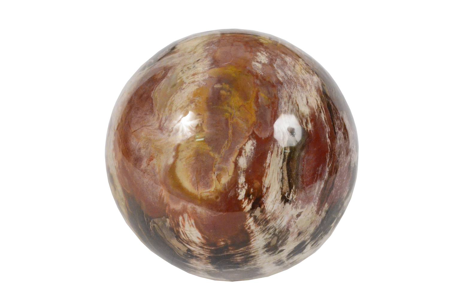 Natural history/264A-Fossil wood sphere