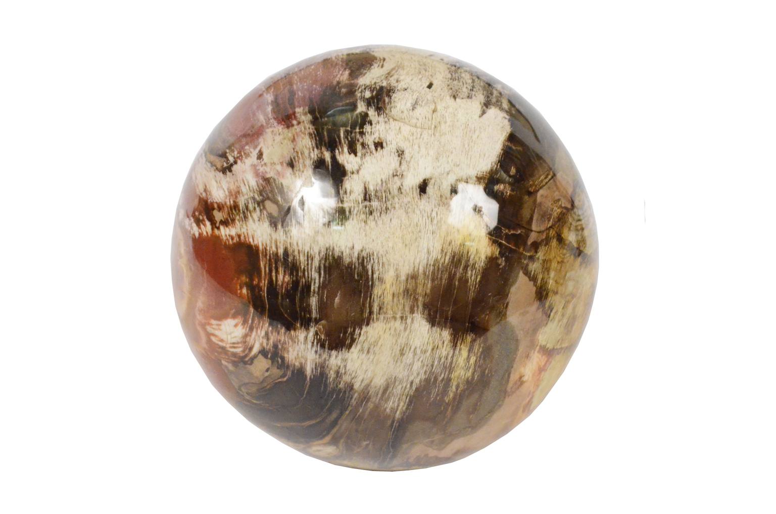 Natural history/264A-Fossil wood sphere