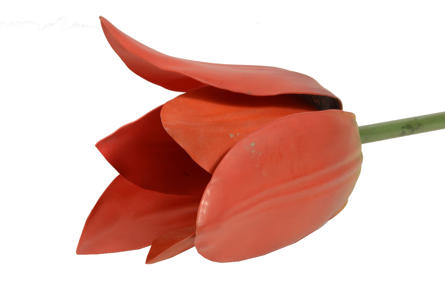 Natural history/2X-Didactic Model