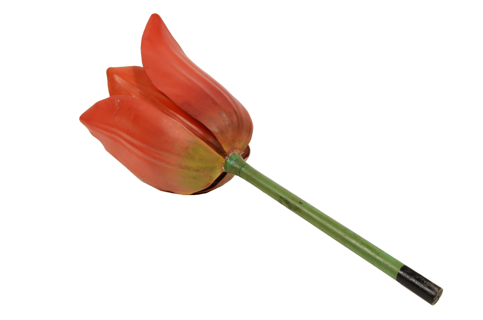 Natural history/2X-Didactic Model