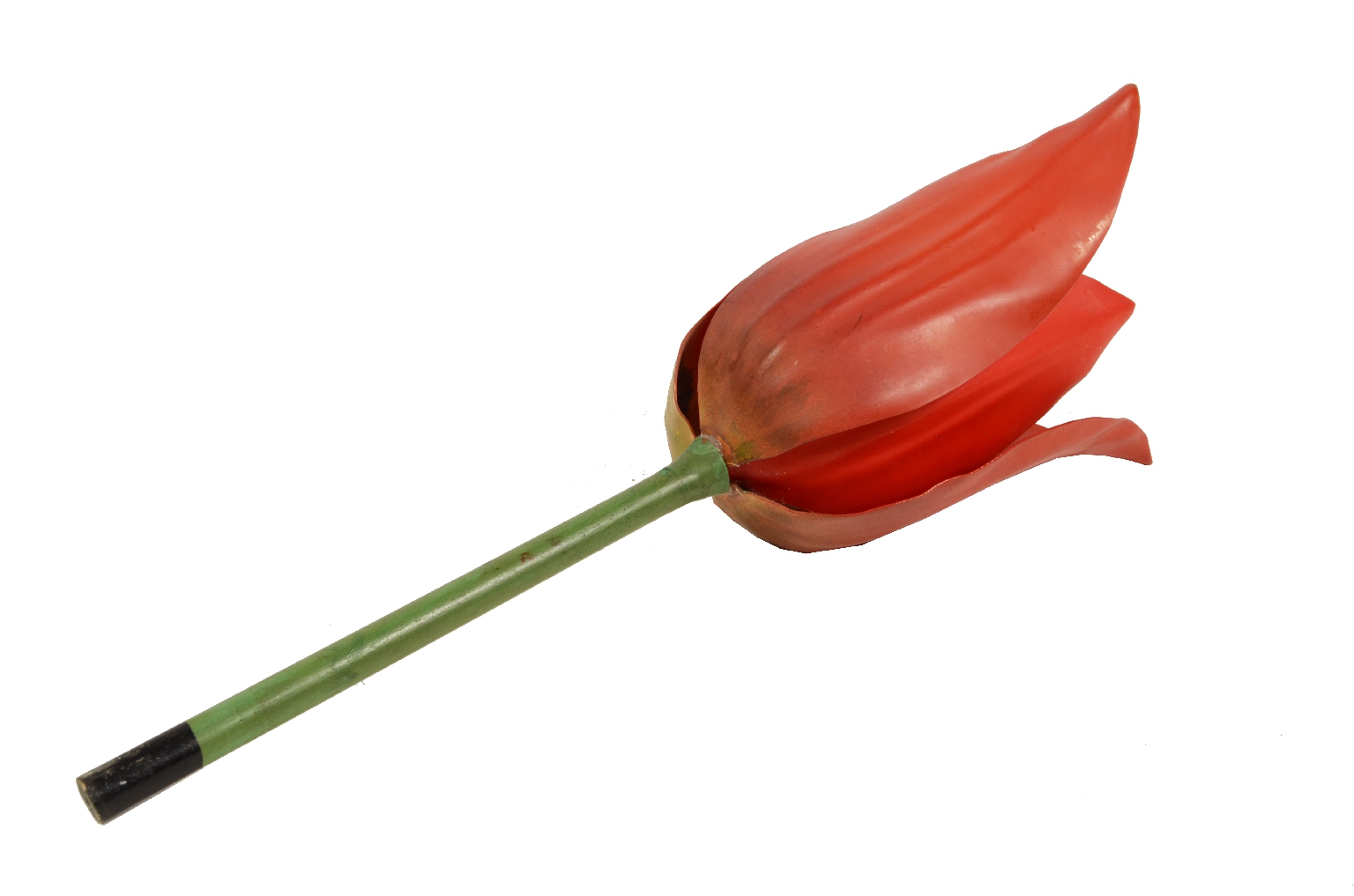 Storia naturale/2X-Fiore Diadttico