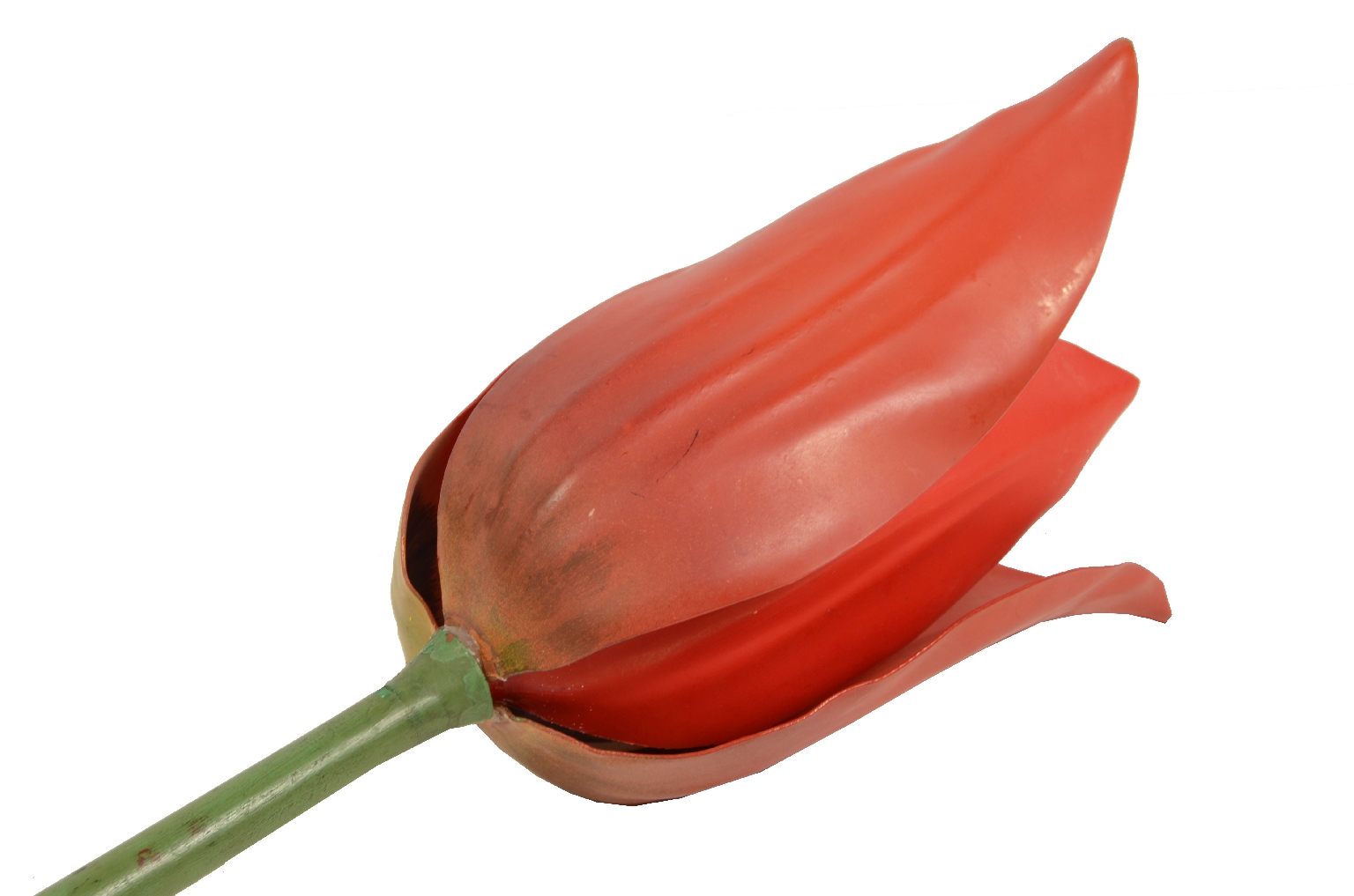 Natural history/2X-Didactic Model