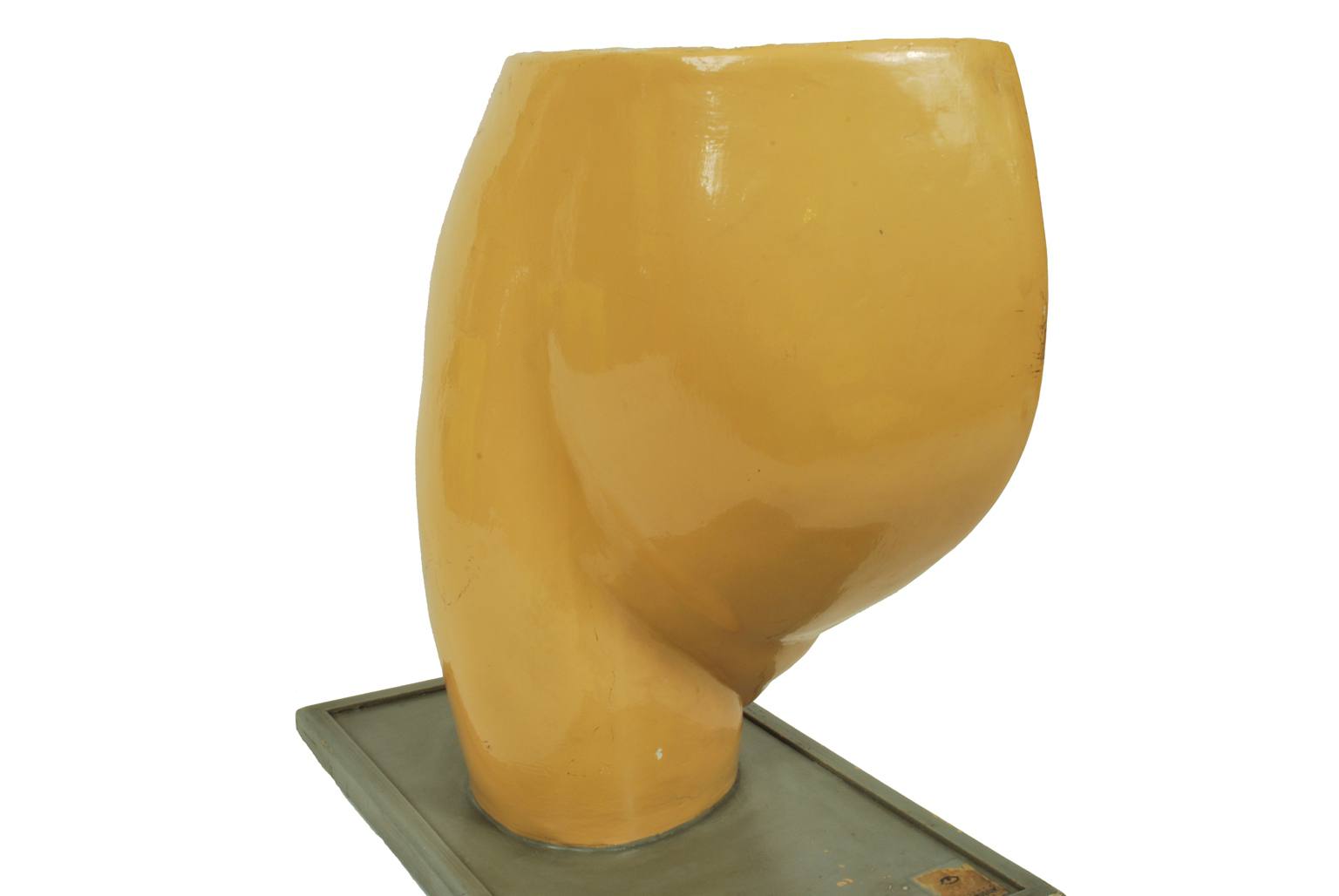 Old medical instruments/4076-Woman womb