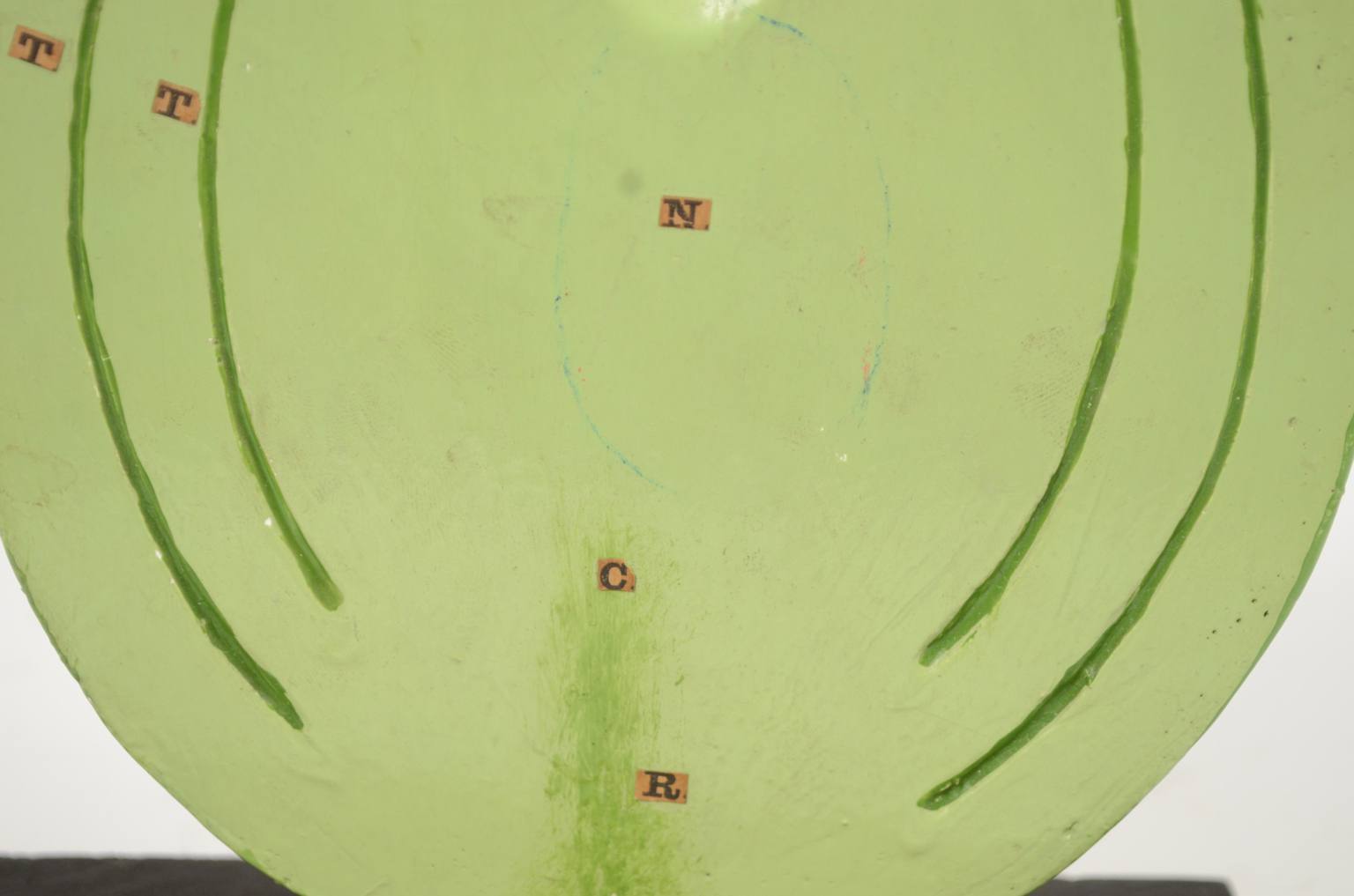 Storia naturale/542A-Modello botanico