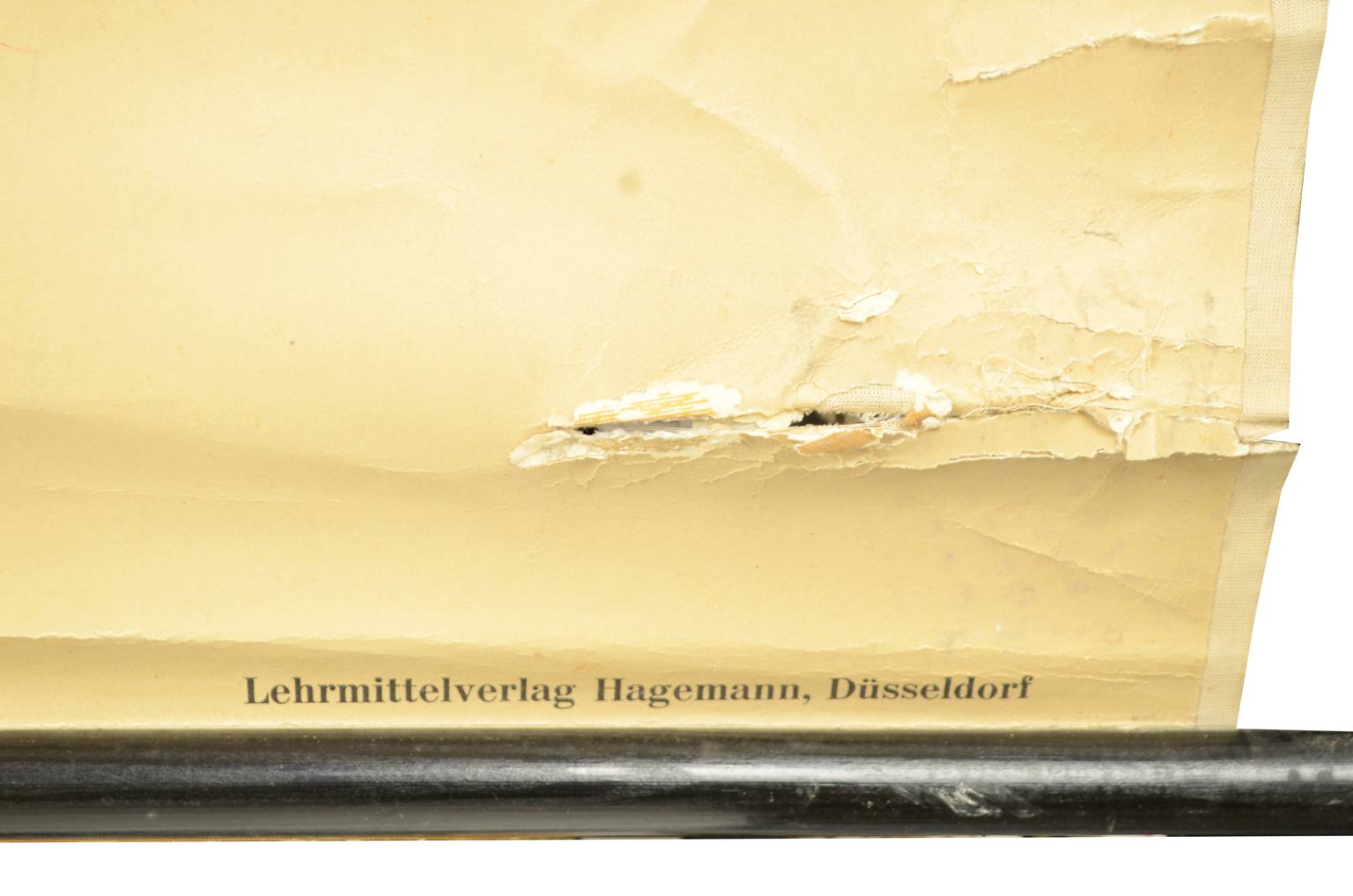 Strumenti medici d'epoca/543A-Tavola didattica