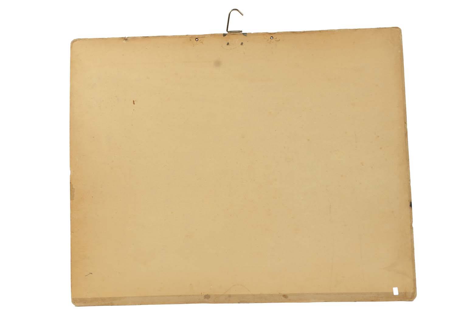 Storia naturale/577A11-Tavola zoologica