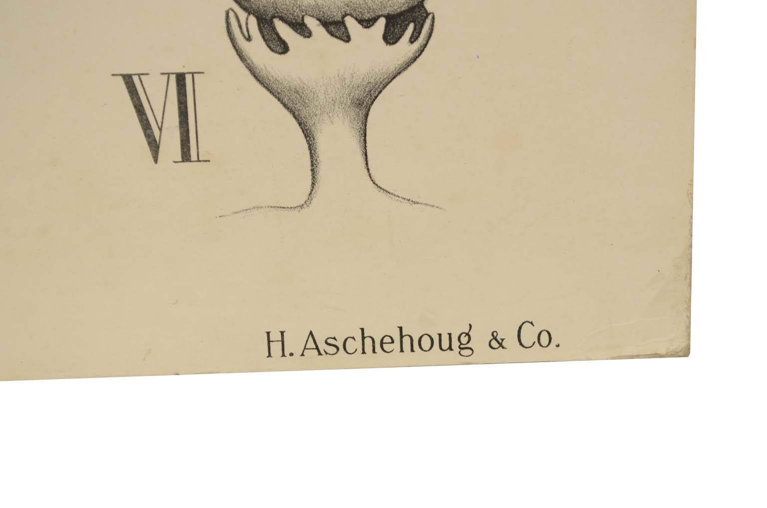 Storia naturale/577A12-Tavola zoologica