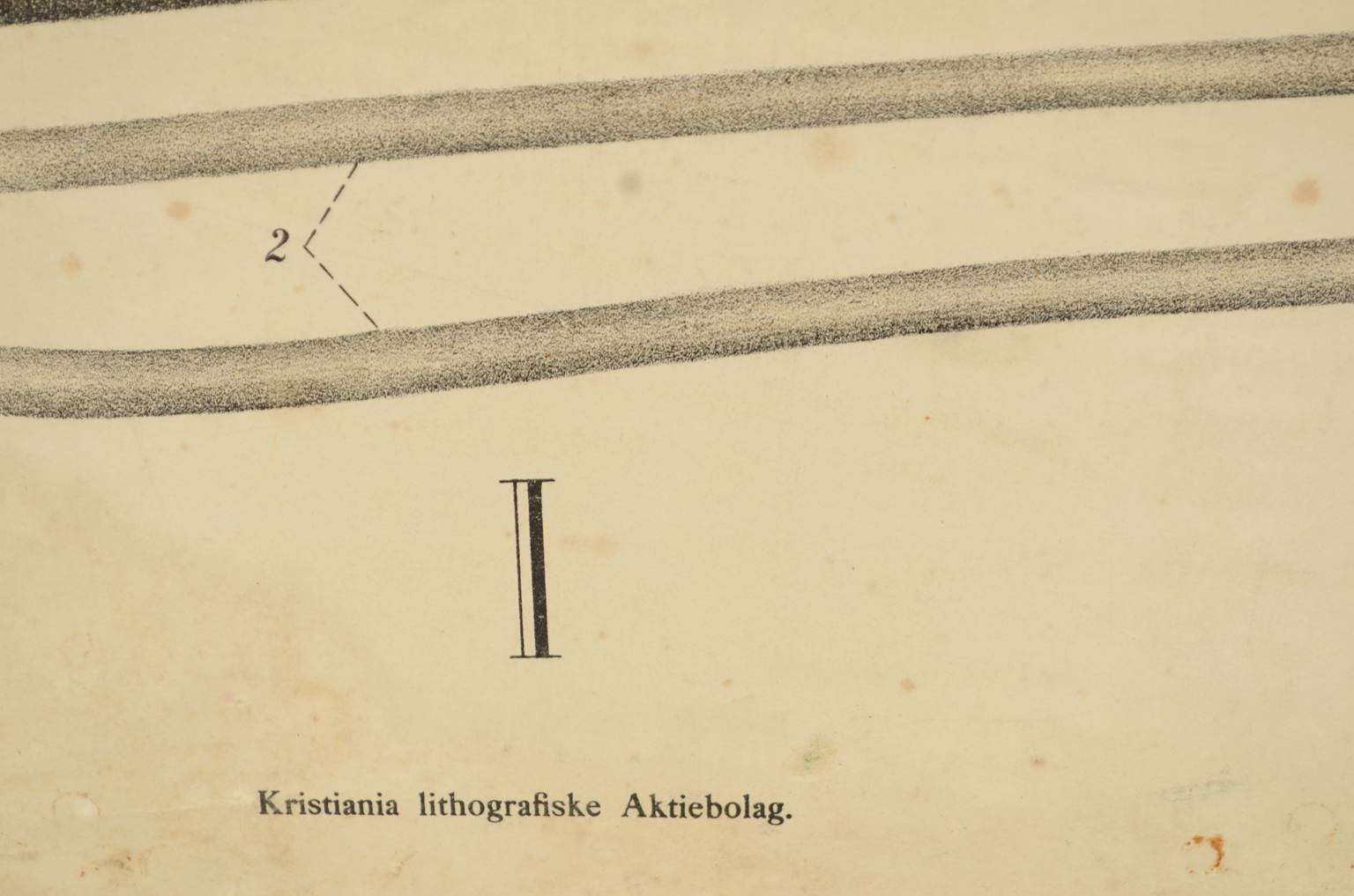 Natural history/577A7-Zoological plate