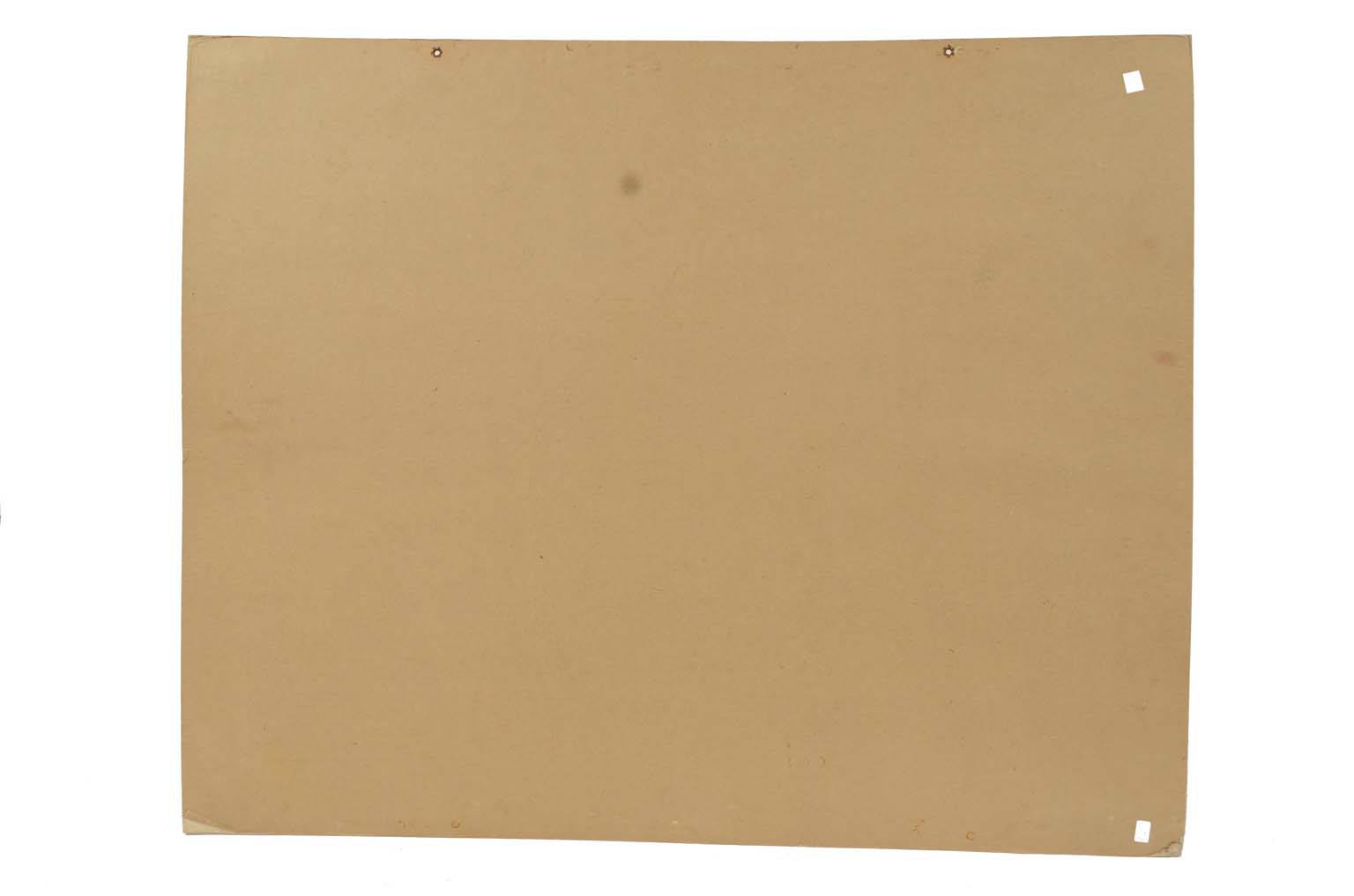 Storia naturale/577A9-Tavola zoologica