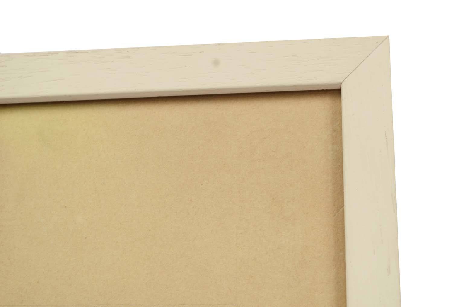 Storia naturale/578A-Tavola zoologica