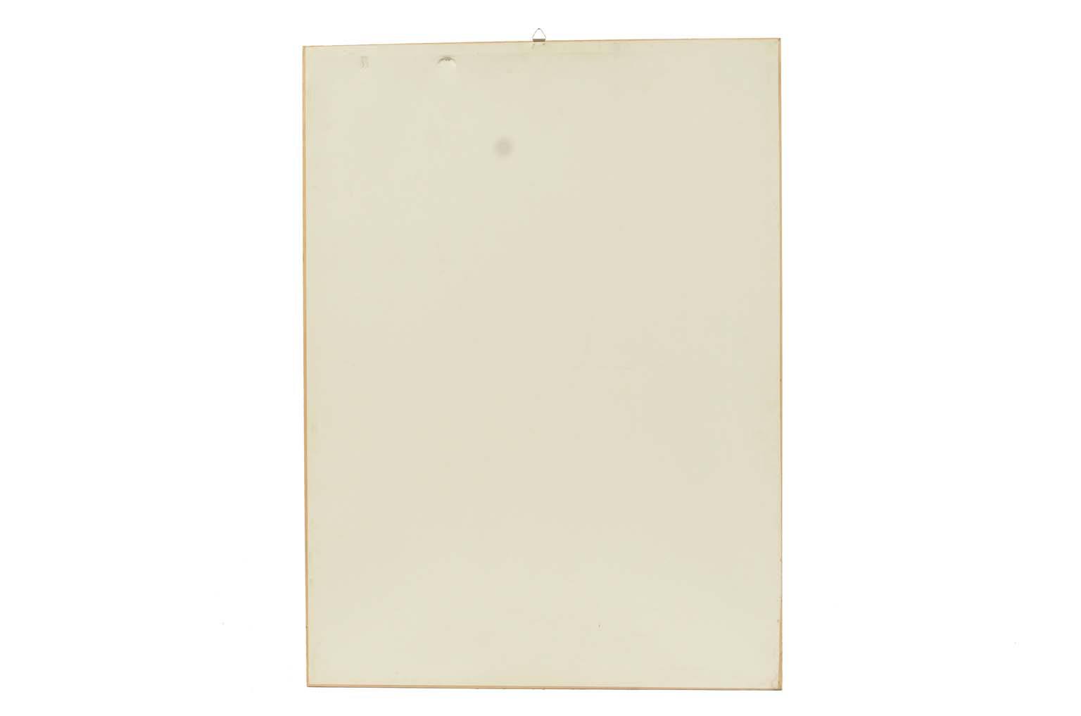 Storia naturale/578A-Tavola zoologica