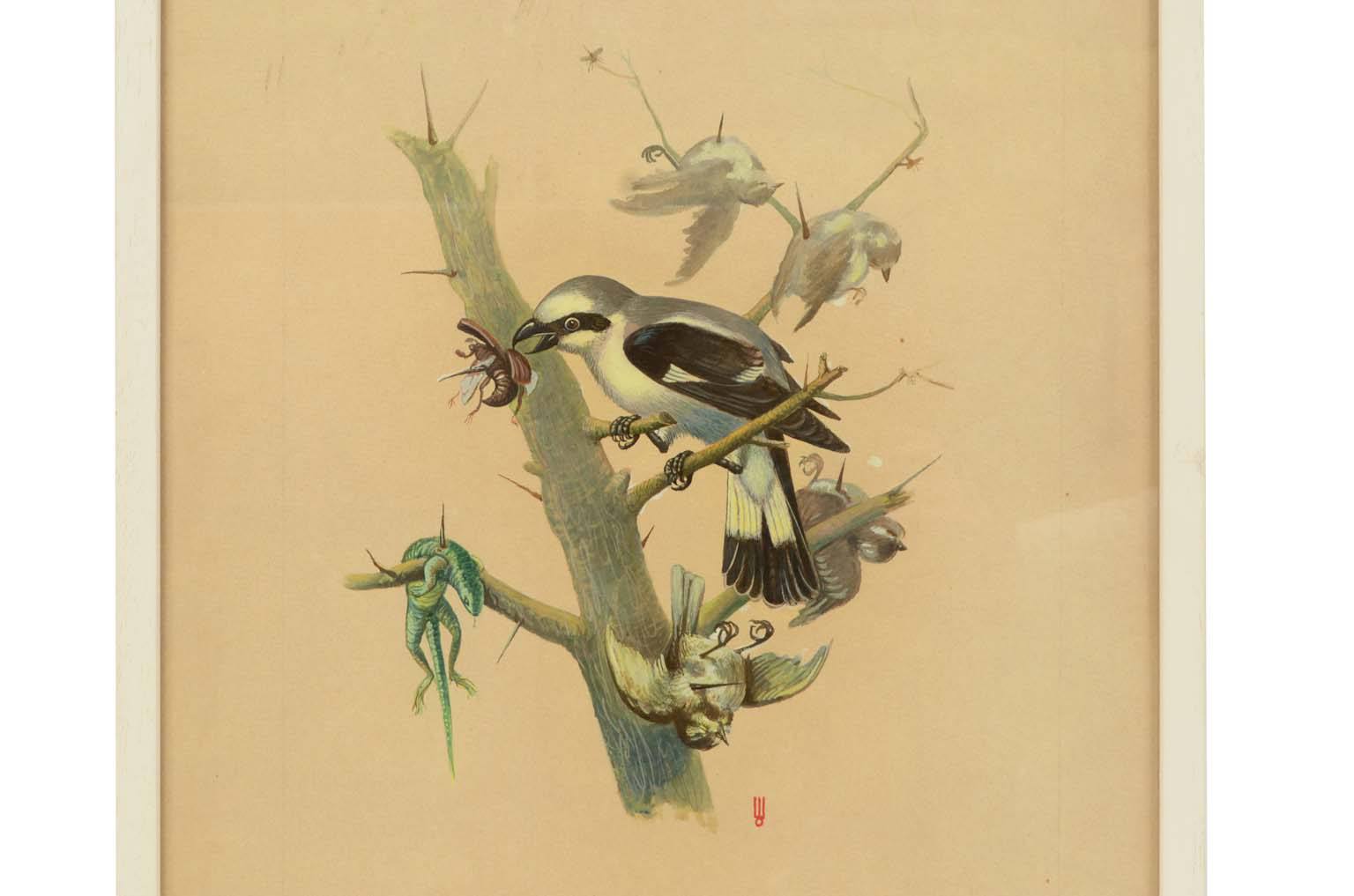 Natural history/578A-Zoological plate