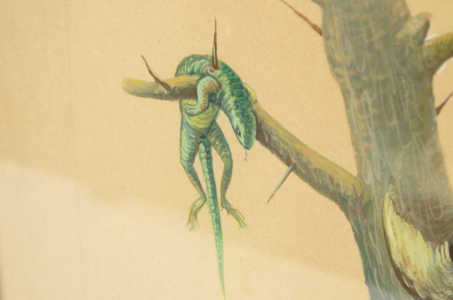 Storia naturale/578A-Tavola zoologica