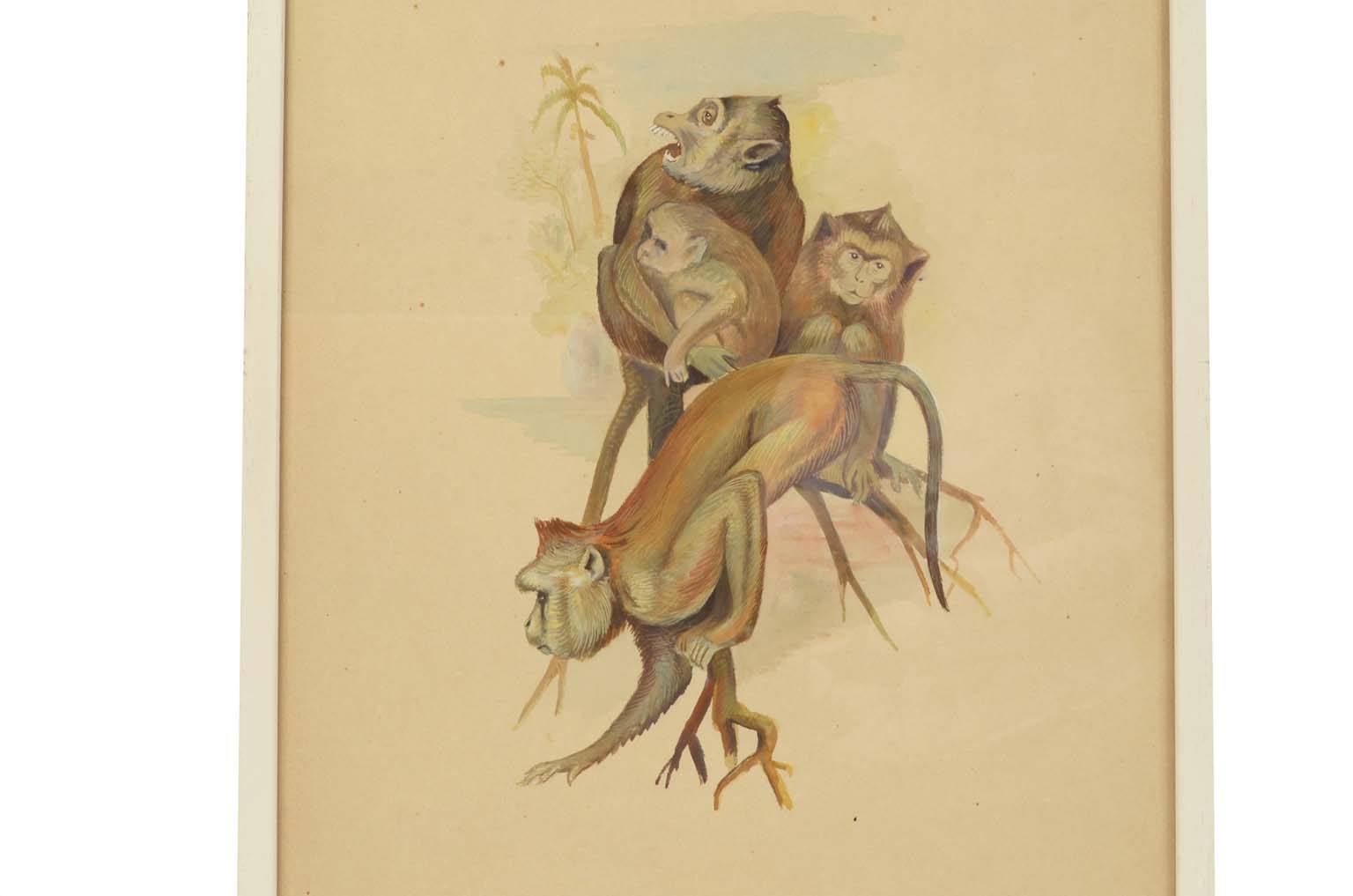 Natural history/578A1-Zoological plate