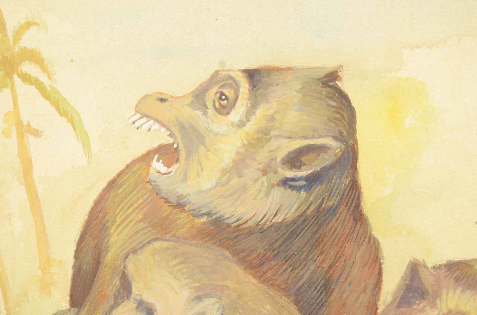 Natural history/578A1-Zoological plate