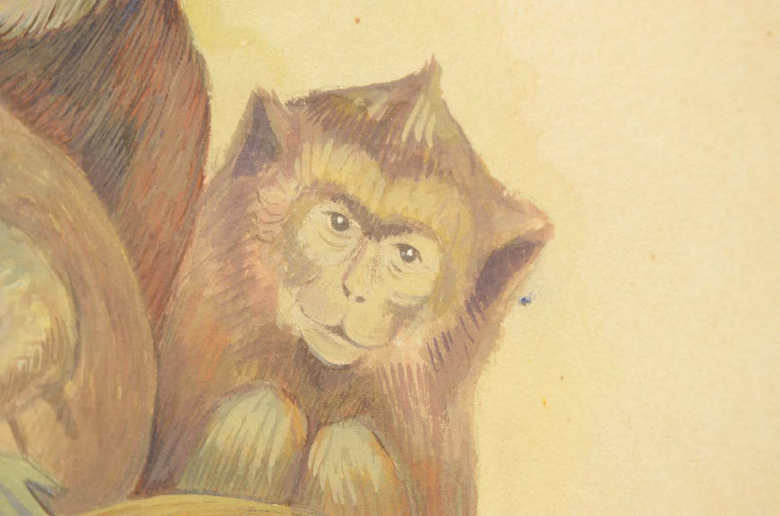 Storia naturale/578A1-Tavola zoologica