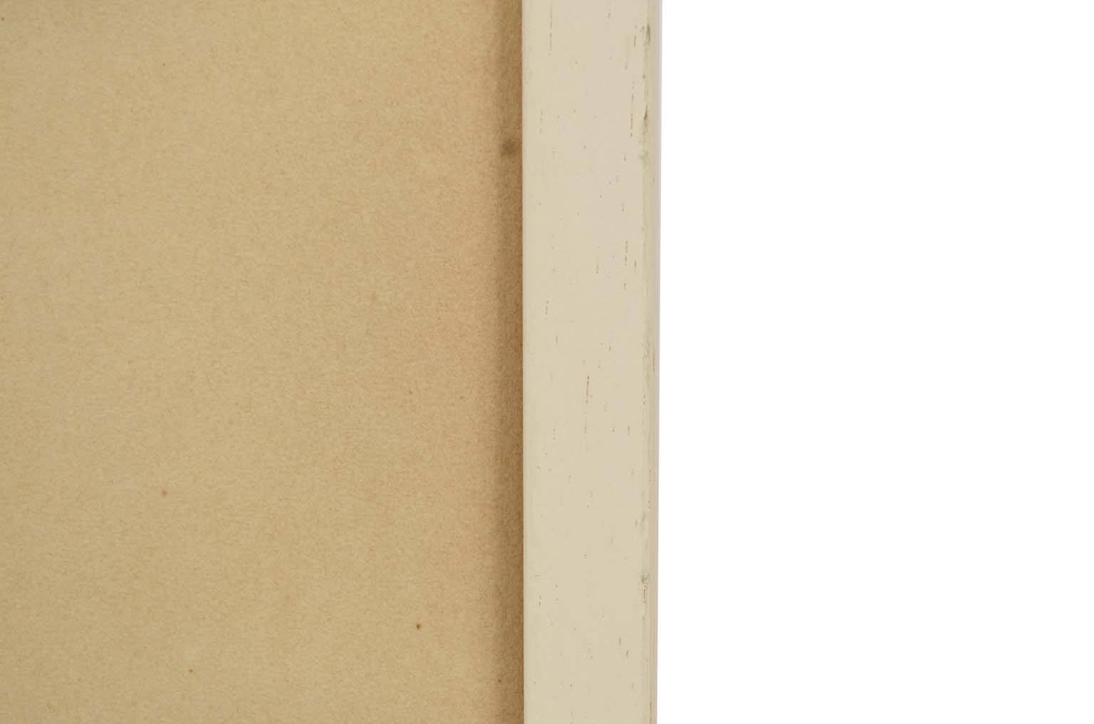 Natural history/578A1-Zoological plate