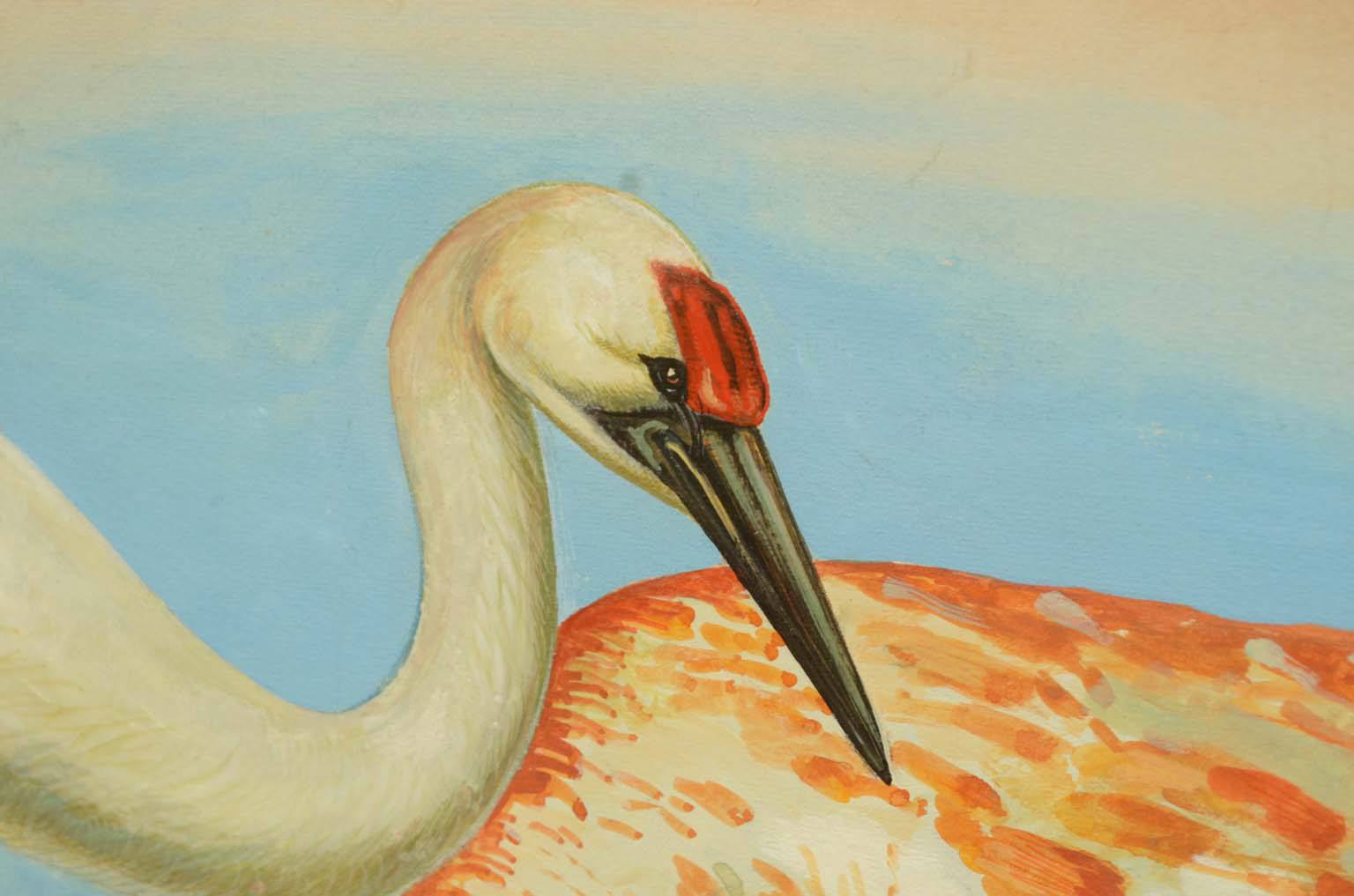 Natural history/578A3-Zoological plate