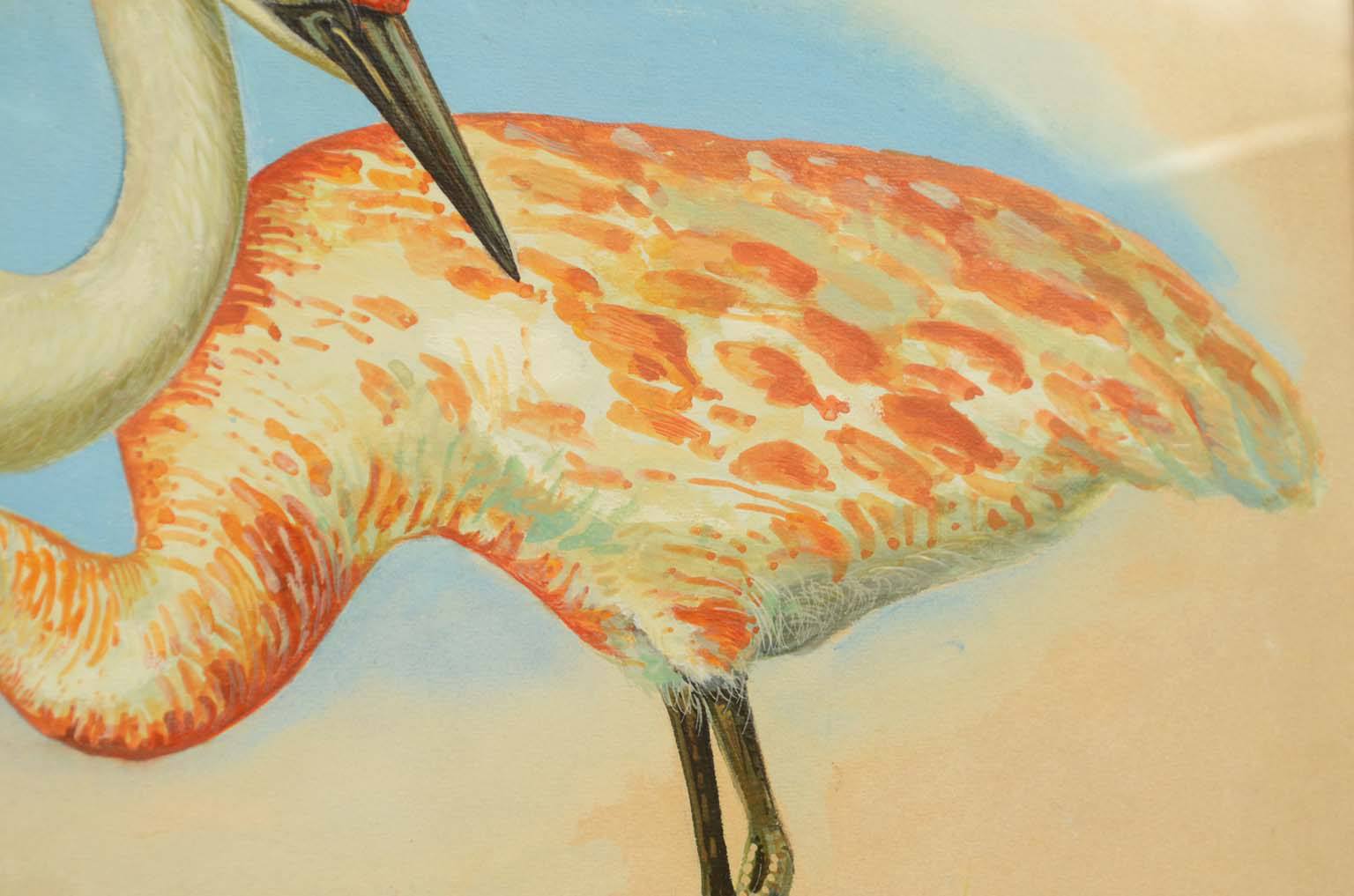 Natural history/578A3-Zoological plate