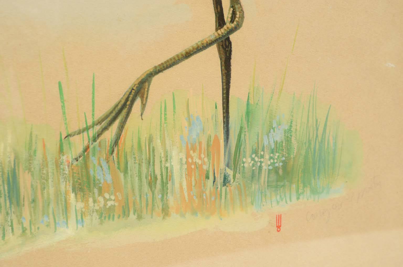 Storia naturale/578A3-Tavola zoologica