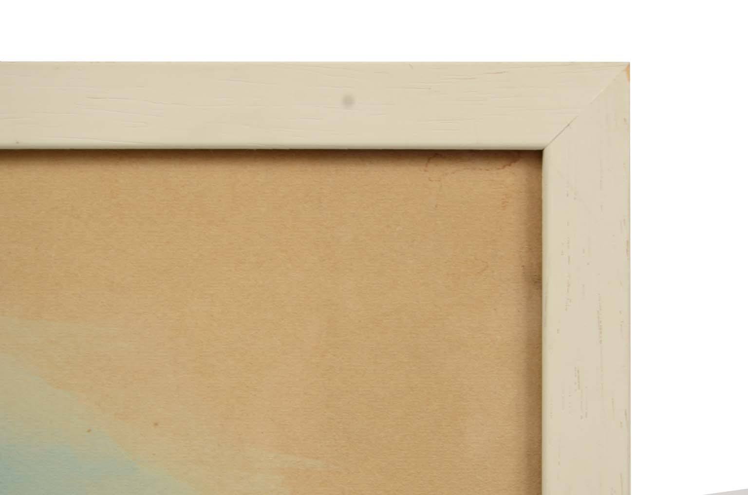 Storia naturale/578A3-Tavola zoologica