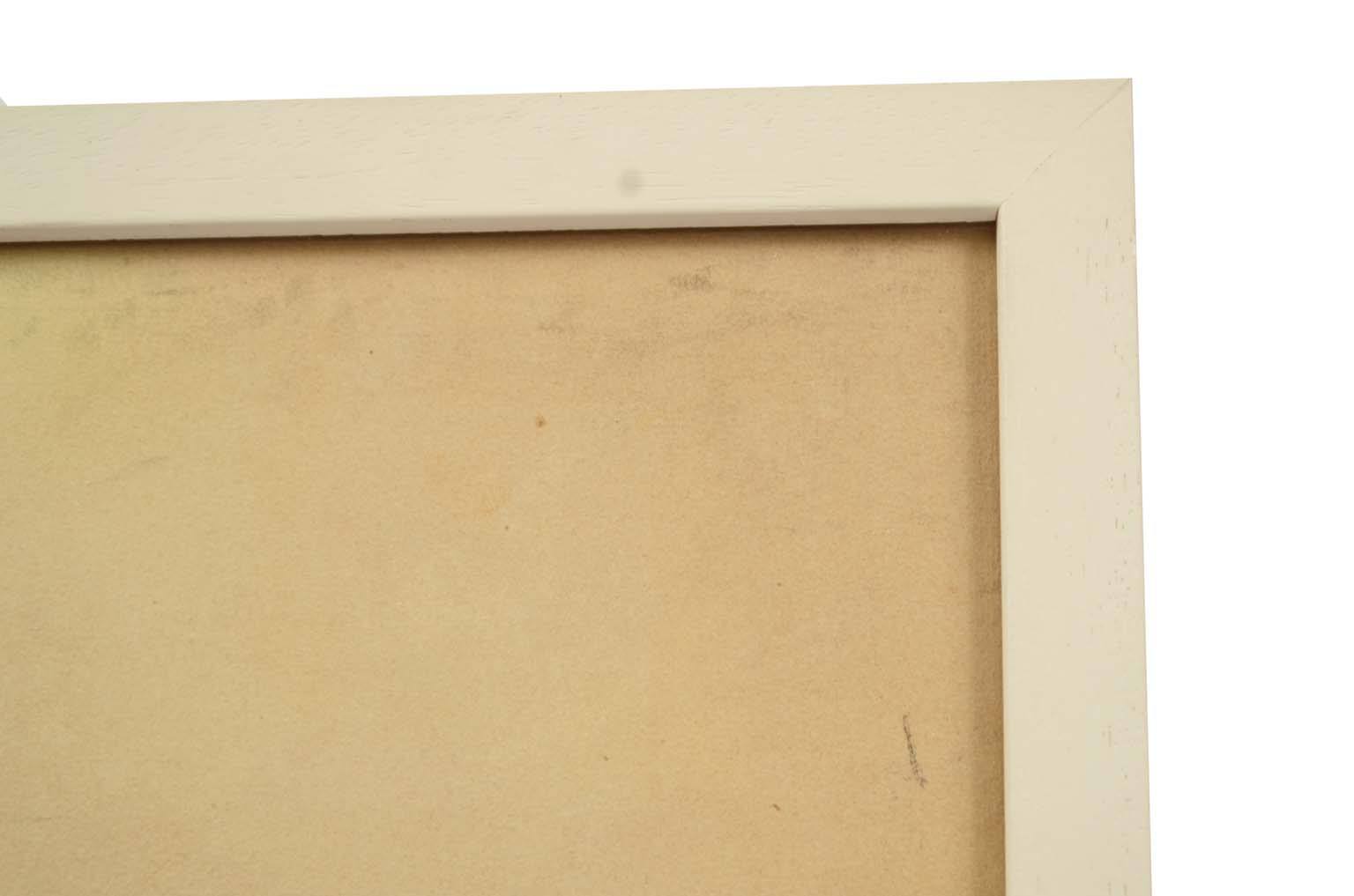 Storia naturale/578A4-Tavola zoologica