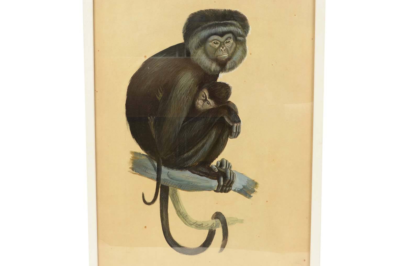 Natural history/578A5-Zoological plate