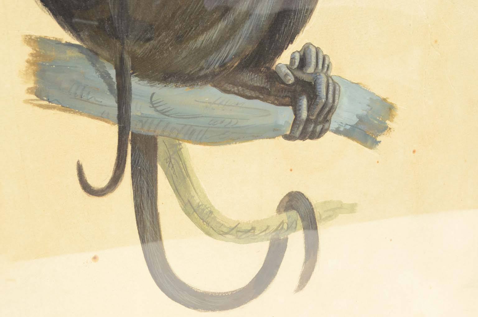 Storia naturale/578A5-Tavola zoologica