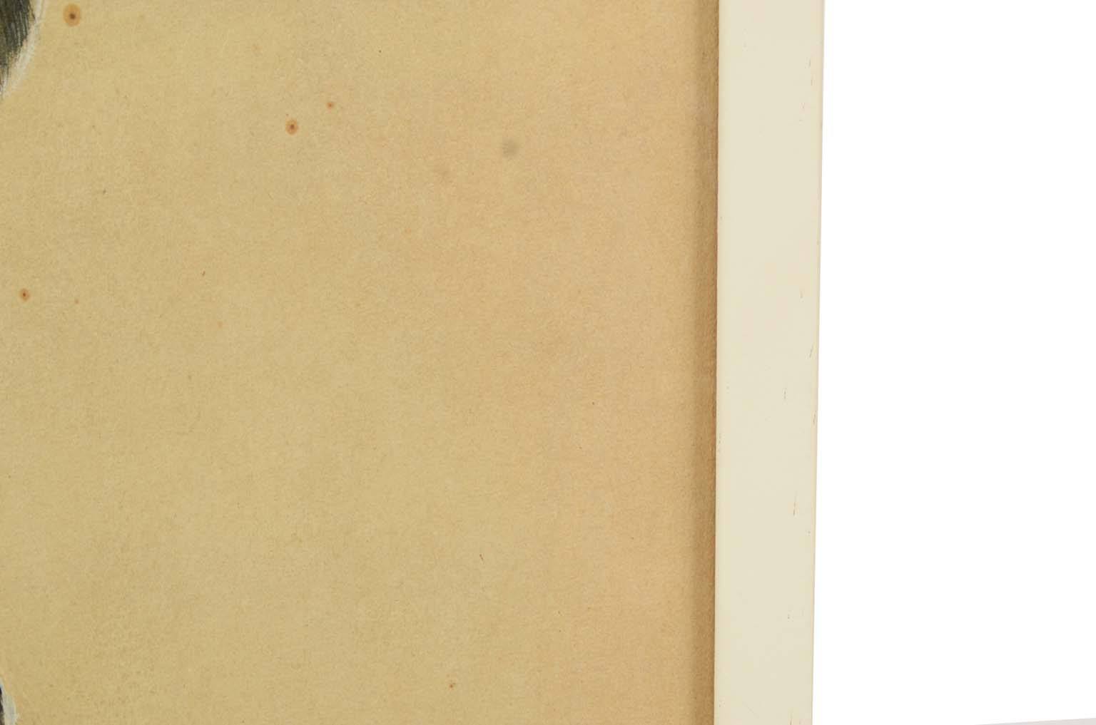 Natural history/578A5-Zoological plate