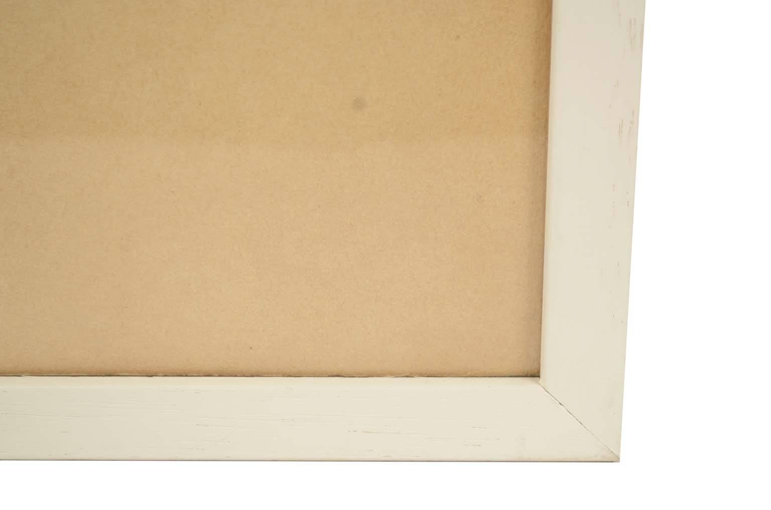 Storia naturale/578A6-Tavola zoologica