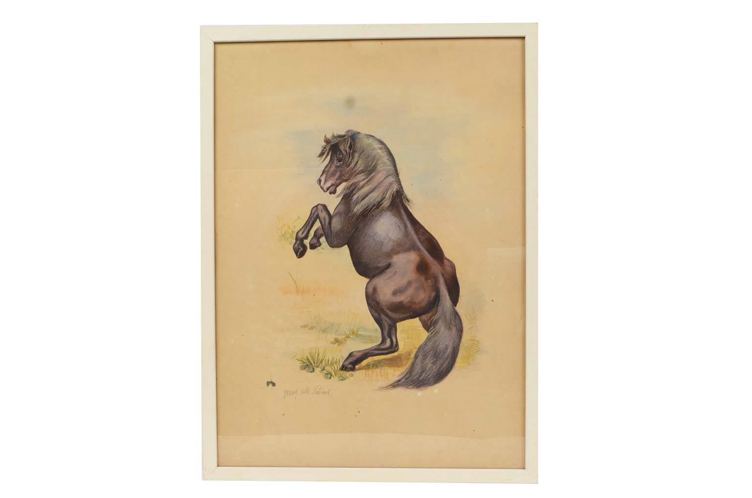 Natural history/578A7-Zoological plate