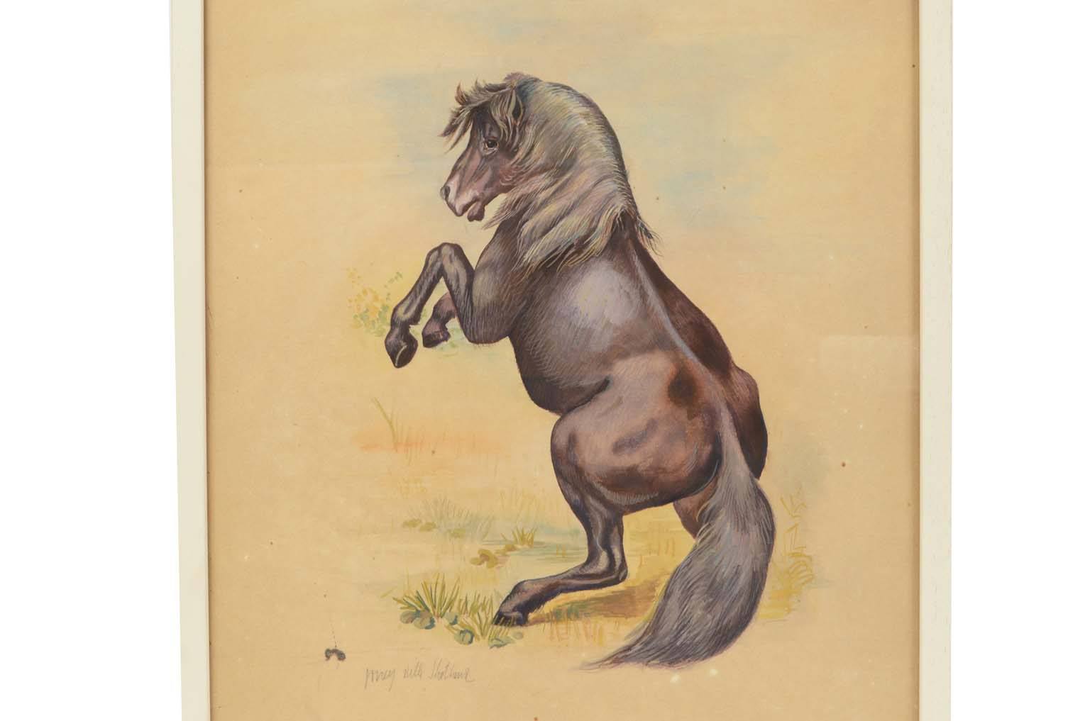 Storia naturale/578A7-Tavola zoologica