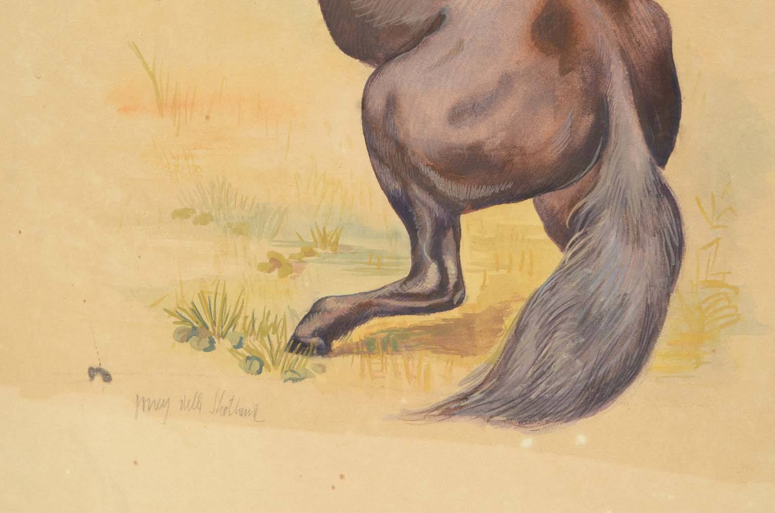 Storia naturale/578A7-Tavola zoologica