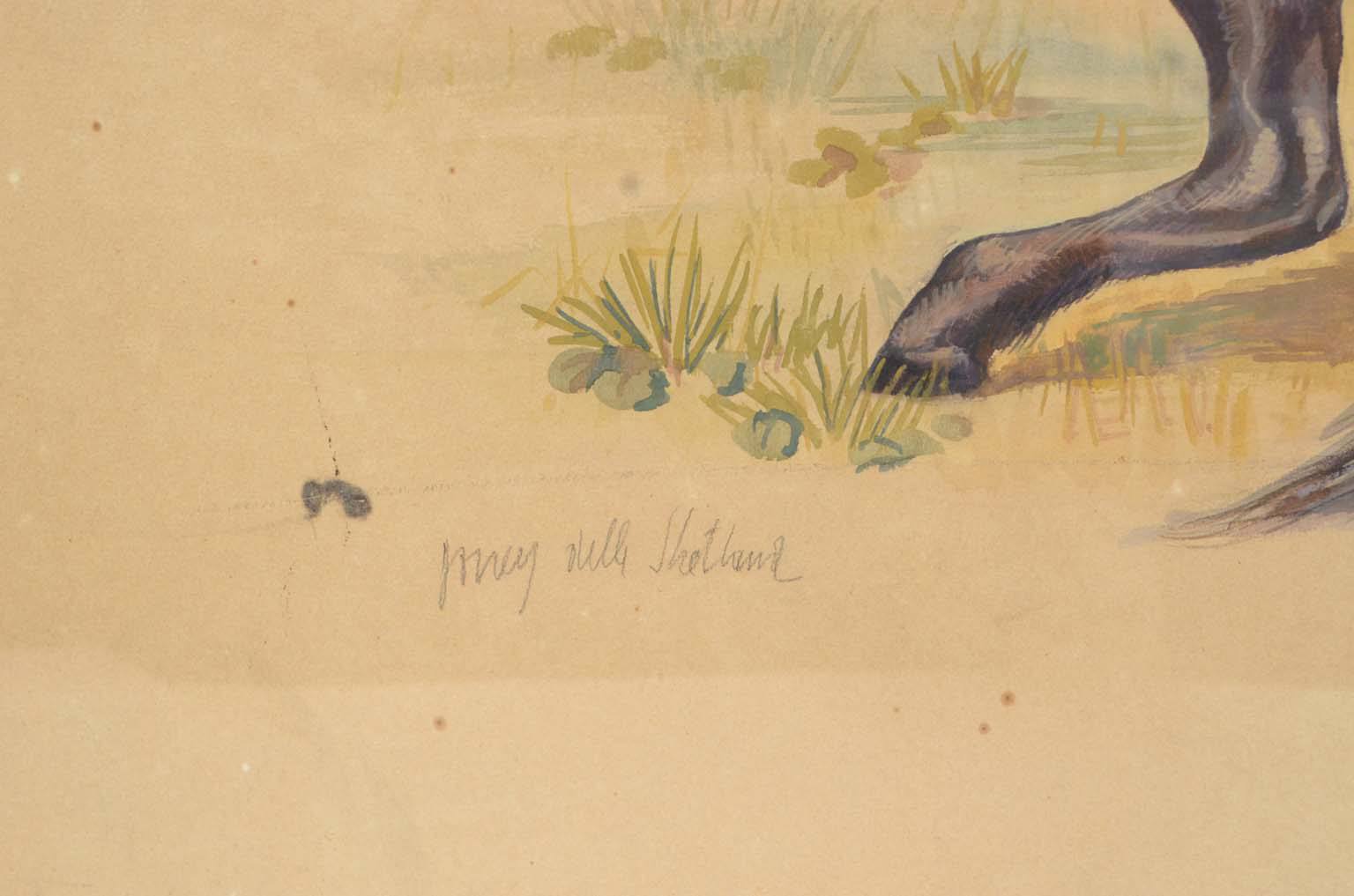 Storia naturale/578A7-Tavola zoologica