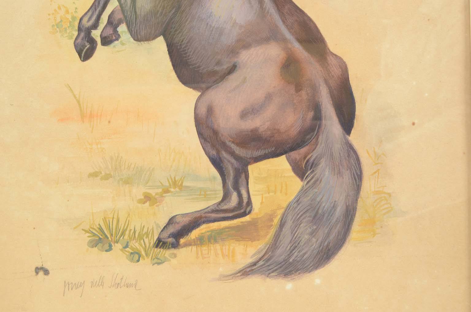 Natural history/578A7-Zoological plate