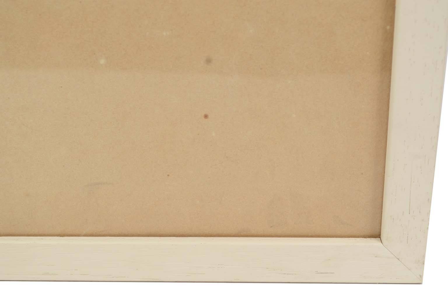 Storia naturale/578A7-Tavola zoologica