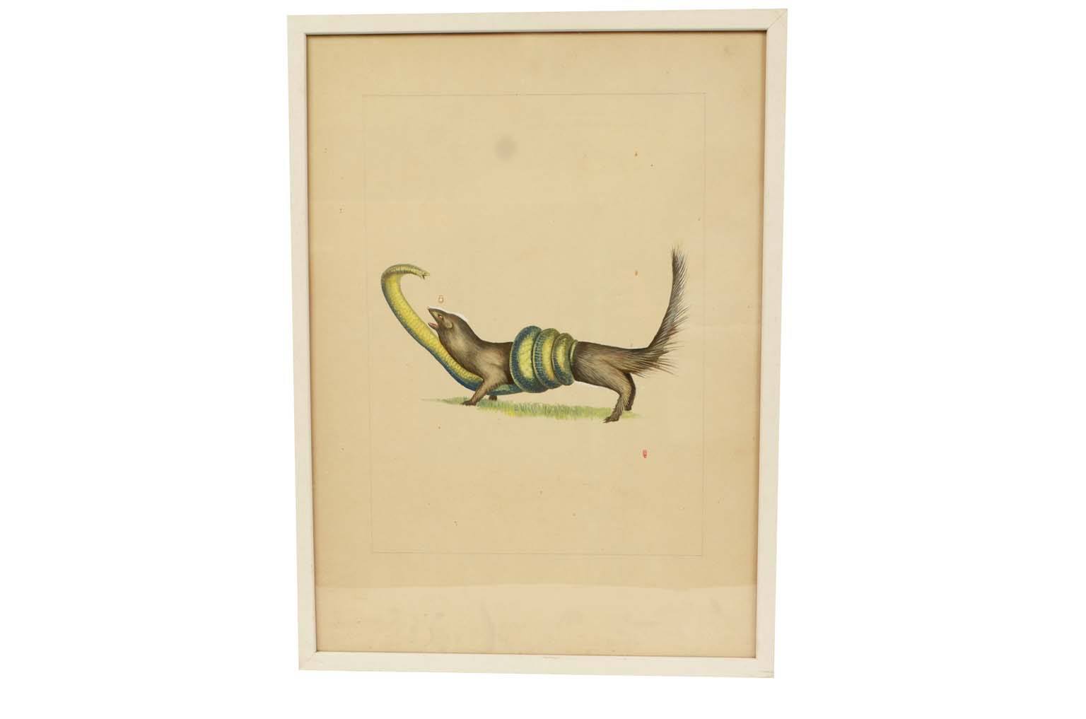 Natural history/578A8-Zoological plate